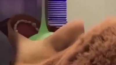 Thanks, I hate shrek busting a fat nut