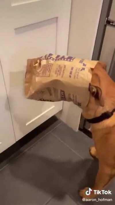 Bear done messed up..