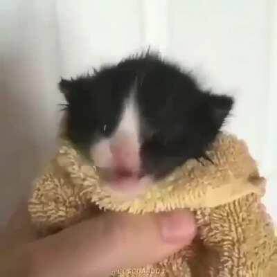 Dylantero el nuevo Big smoke