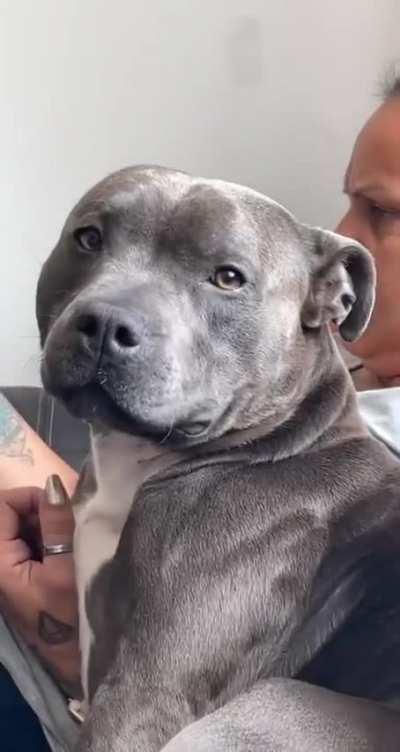 When two eyes and a heartbeat is home to you ❤️