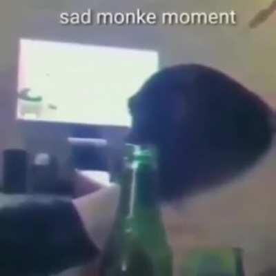 Just pain monke :'(
