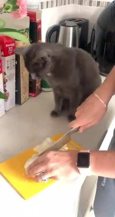 This is unpleasant. I will stay here.