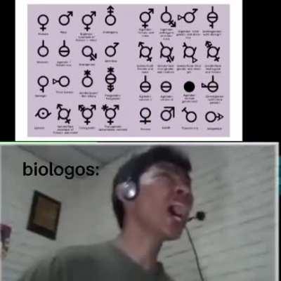 no estoy en contra porcia