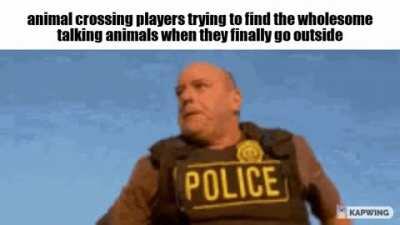 more like animal cocking 😂❗️❗️