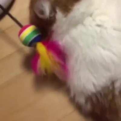 No wonder his face is so flat