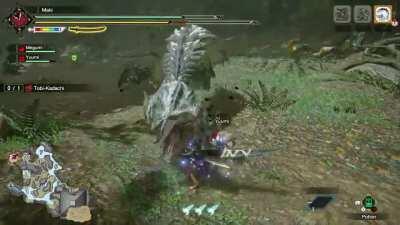 Cleanest start of a hunt I've ever had.