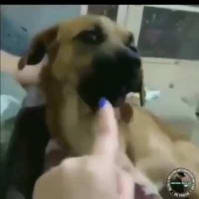 VOCÊ VAI OQ ???¿¿