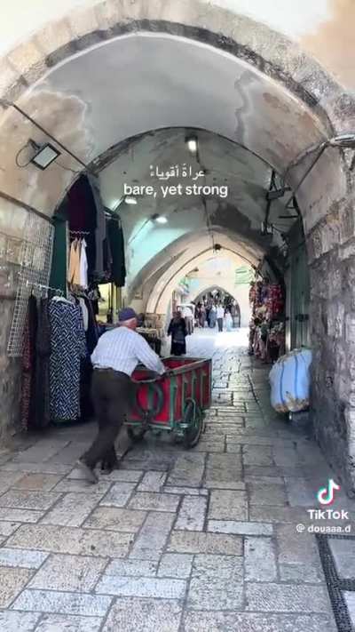 The beauty of Palestine