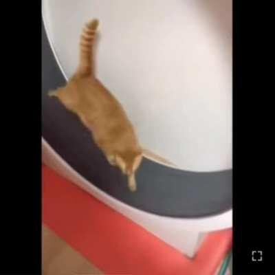 To make some exercise.