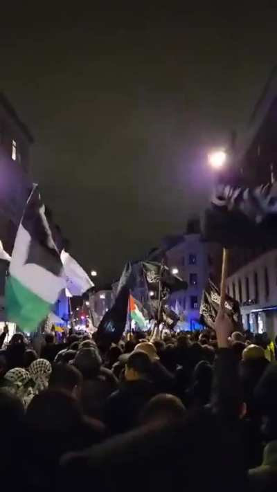 Pro Palestine protest in Denmark