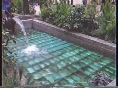 // t r a n q u i l //