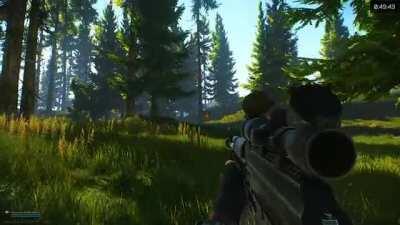 Average day in Tarkov