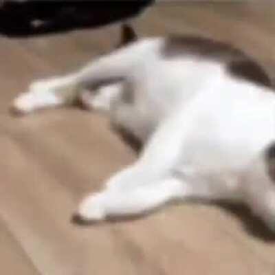 QUIEN AYA JUGADO NEW SÚPER MARIO PARA LA DS LEVANTE LA MANO