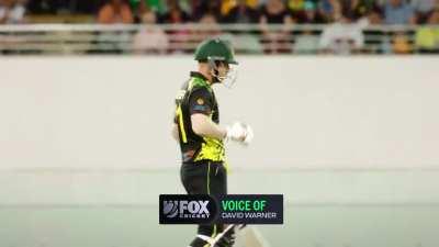 Voice of warner while his batting.