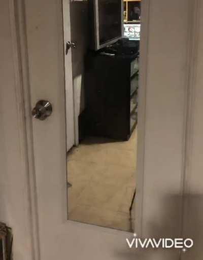 Had to make one of these! How did I do?