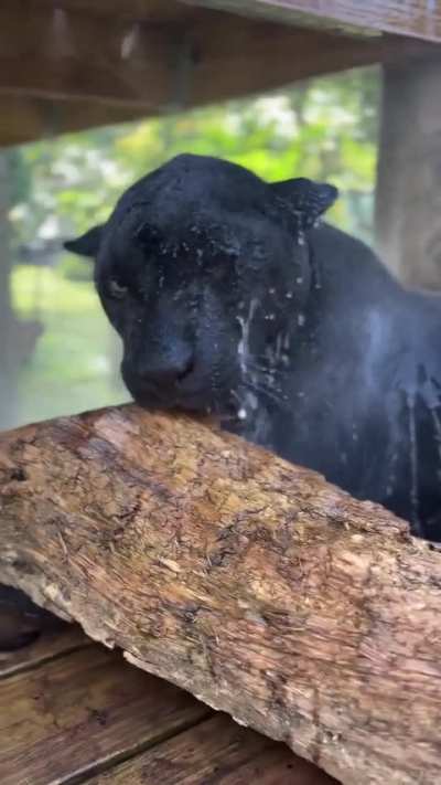Enjoying a nice bath 😌