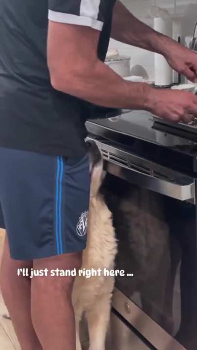 HMK while I ooof…squeeze up your space