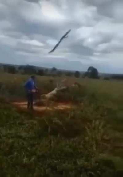 Cut me down I cut right back!