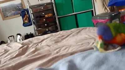 he loves this scrunchie so much