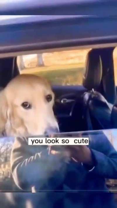 Sticking your hand in other peoples car