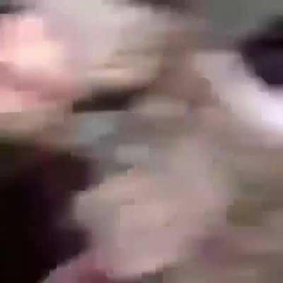 BeelcitosMemes - Video #5855