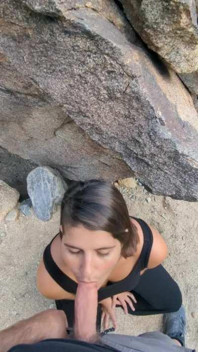 Things escalated quickly on this oasis hike [gif]