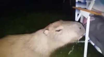 Не знаю уже было или нет. Но интернета на сегодня хватит.