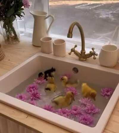 Flower bath