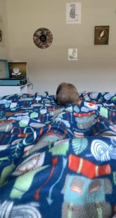 Safe to say Taco Bell likes our new home!