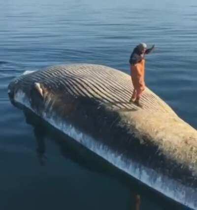 Пока не лопнул можно потанцевать