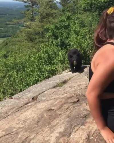 I think we should move...