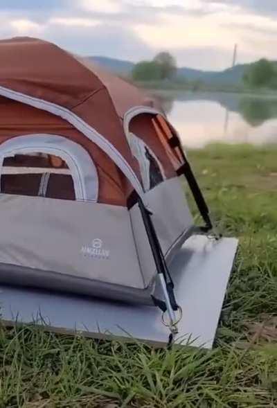 A squirrel ready for an adventure