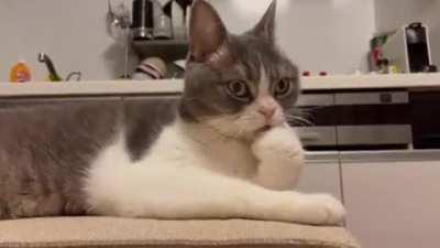 Did his crush just walk in or what?