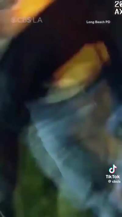 Border patrol agent arrested after fighting police, cries about it in jail, dies of drug overdose while out on bail.