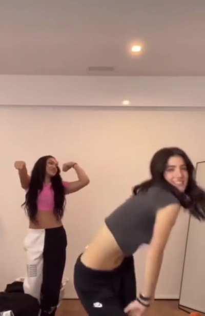 I have no words to describe this tiktok