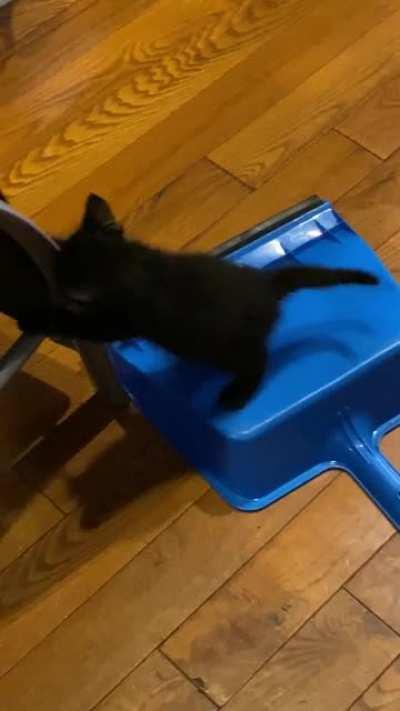 All the toys Ash have & this is what he decides to play with smh