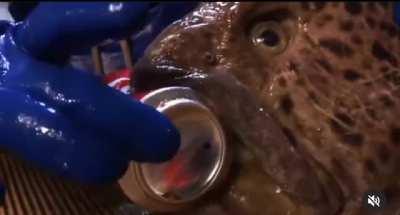 Decapitated wolffish crushing metal