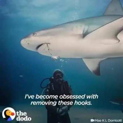 Don’t let your hand get bit off