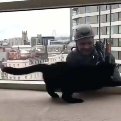 The glass cleaner has a new friend