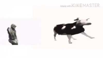 Me alegro de que todo les vaya piola 🙂🙃