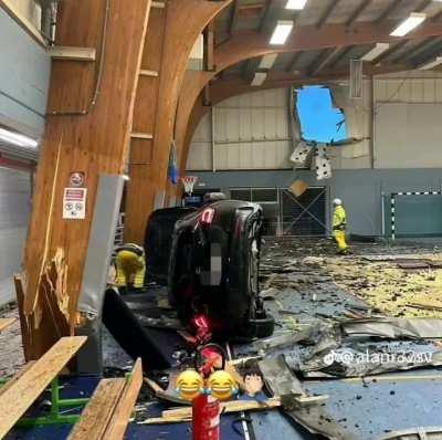 Free bird was probably playing 💀