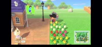 Tina twerks when it’s windy