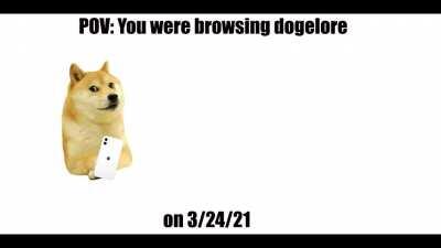 POV: You were browsing dogelore on 3/24/21