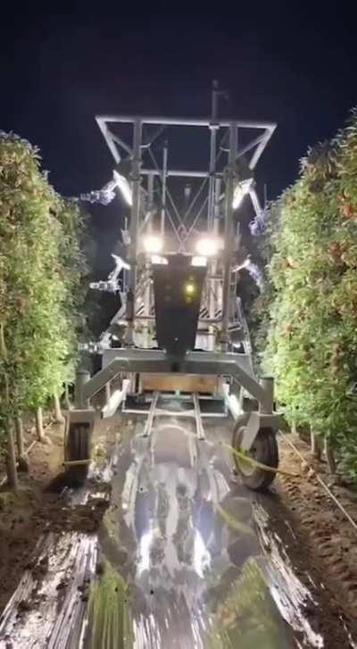 Robotic harvester that can pick up to 30 apples in a minute