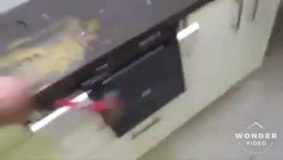 Ojalá que el Dylan lo vea