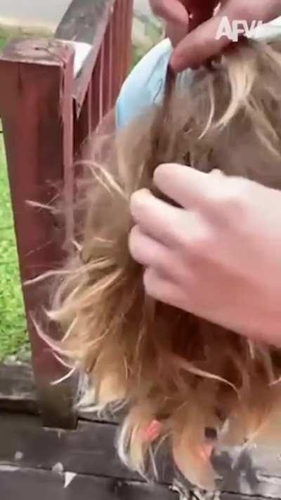 Talk about a hairy situation