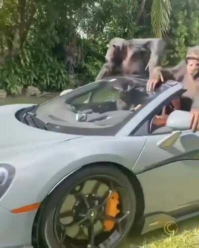 Ricciardo and Norris, Circa 2021