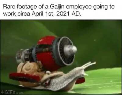 Finally caught rare footage of Gaijin employee going to work. This confirms that their entire staff are indeed actual Snails.