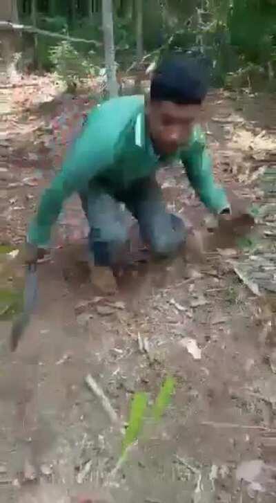 Saca só a habilidade do home