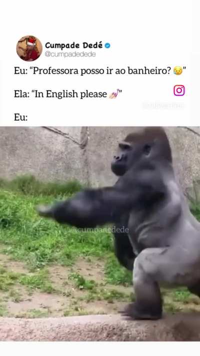 Toma essa Shit então